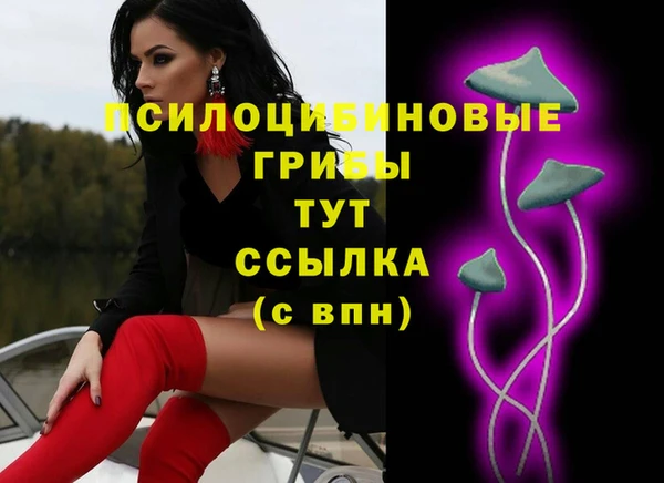 прущие крисы Абинск